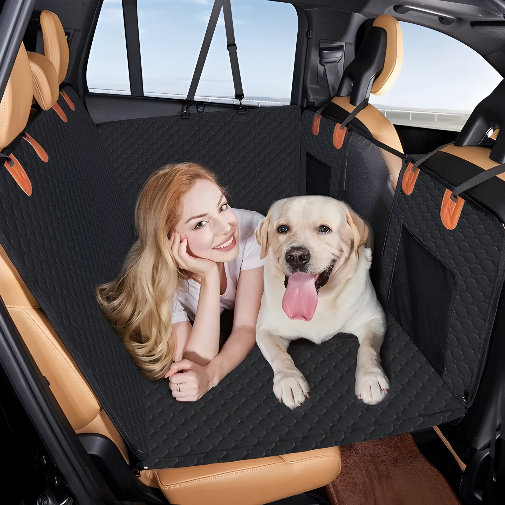 SUENTA Ausziehbarer Hundesitz Für Auto Reisen Bequem Und Sicher
