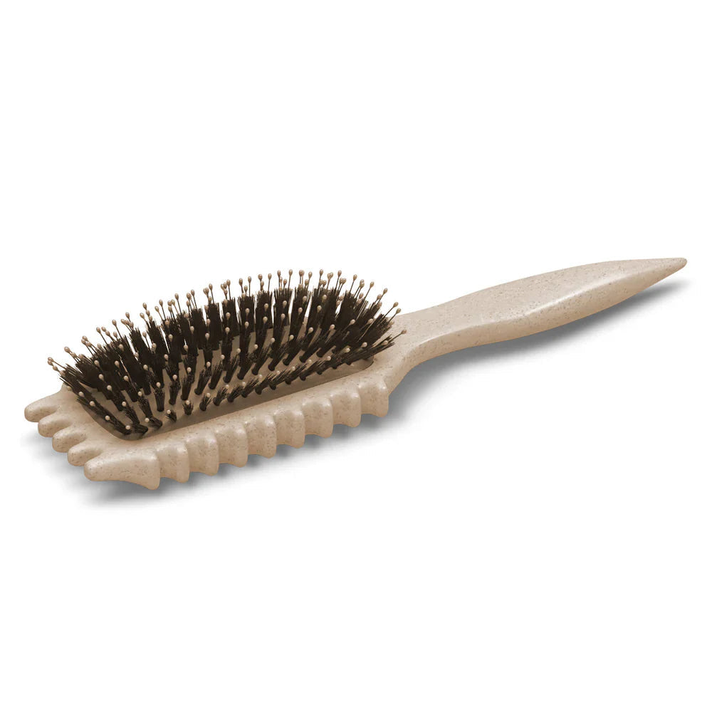 SUENTA Entwirrbürste Anti-Frizz Für Glatte Definierte Locken