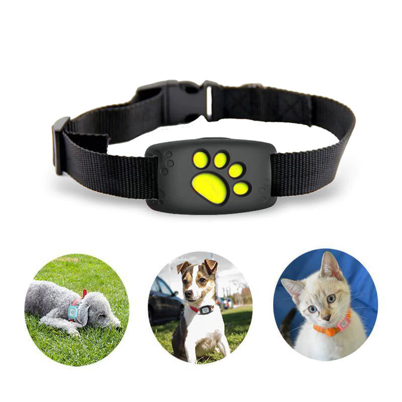 SUENTA GPS-Tracker-Halsband Echtzeit-Tracking Ohne Abonnement