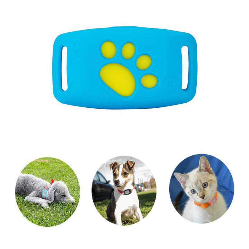 SUENTA GPS-Tracker-Halsband Echtzeit-Tracking Ohne Abonnement Blau