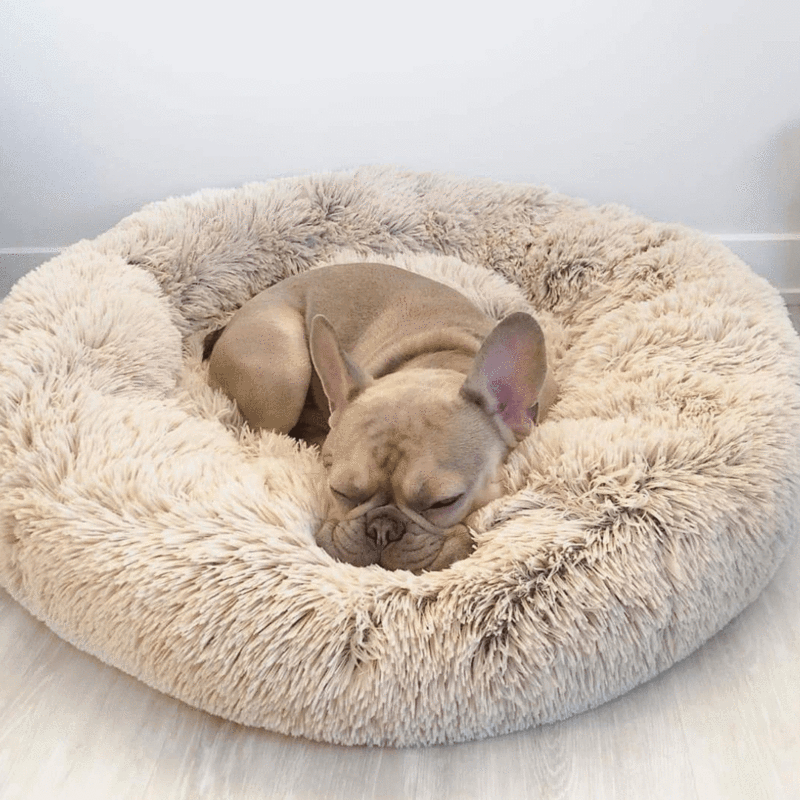 SUENTA Hundebett Kuschelig Weiches Plüschmaterial Grau Größe XL Beige