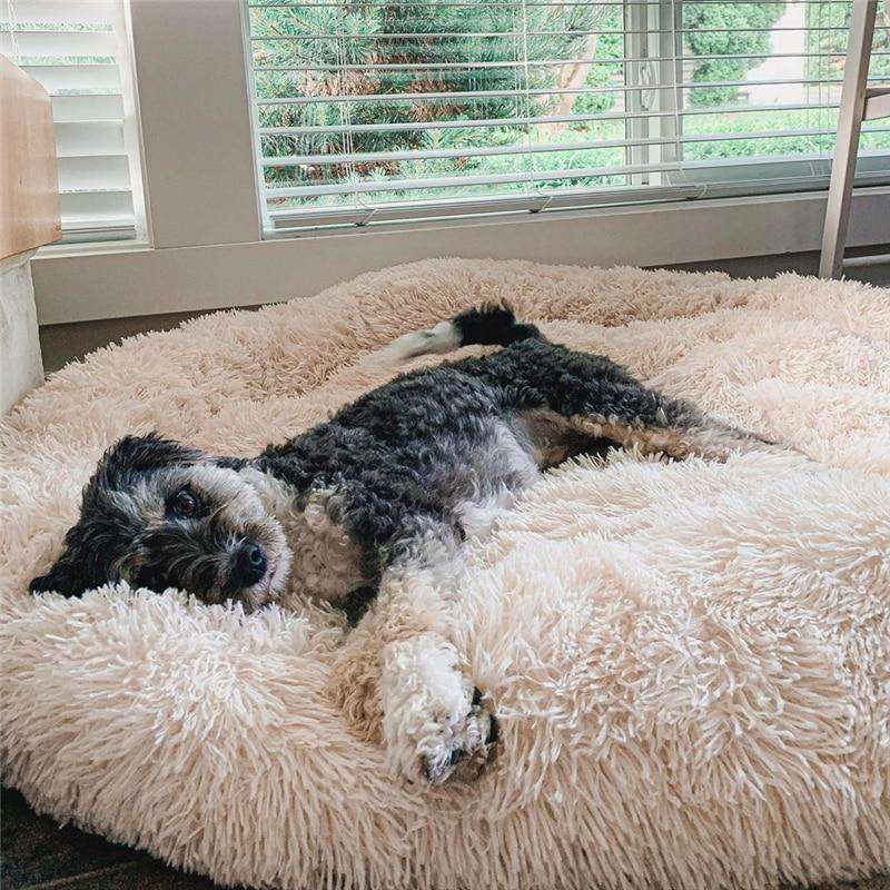 SUENTA Hundebett Kuschelig Weiches Plüschmaterial Grau Größe XL