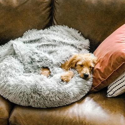 SUENTA Hundebett Kuschelig Weiches Plüschmaterial Grau Größe XL