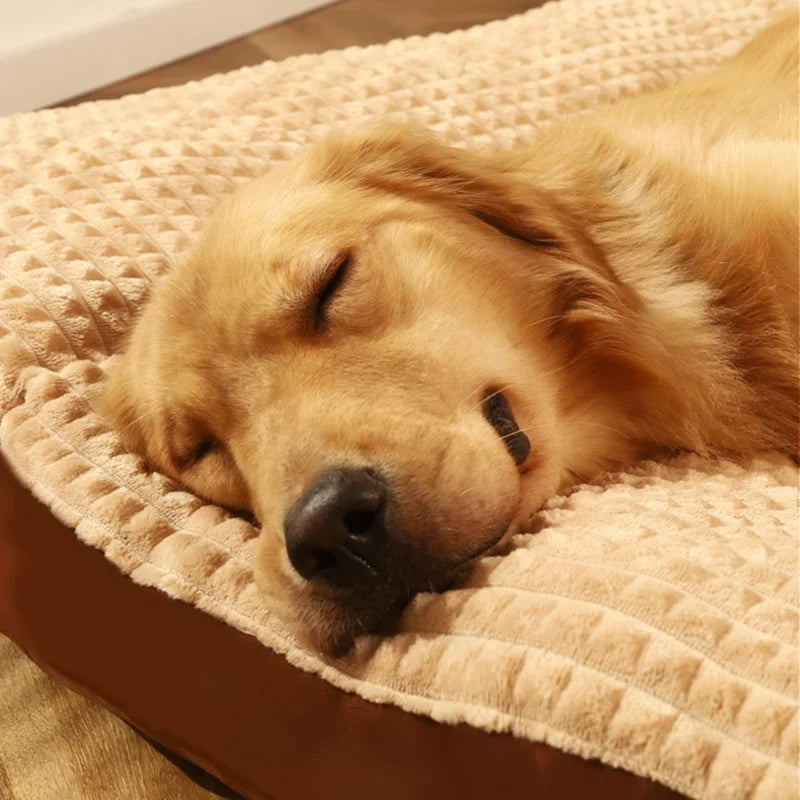 SUENTA Hundebett Memory-Schaum Bezug Waschbar Größe L Komfort