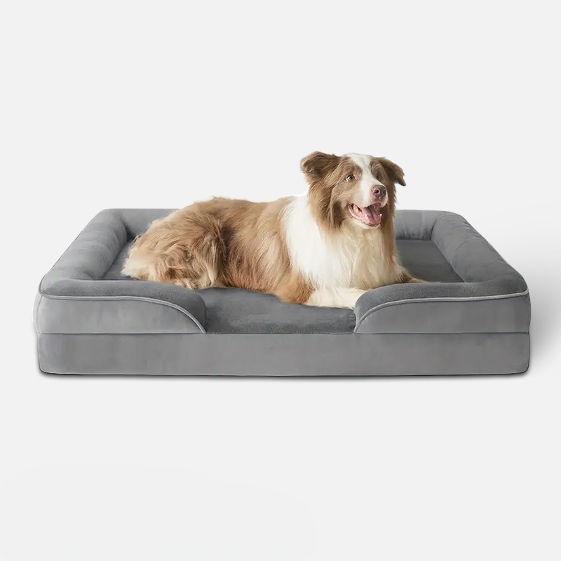 SUENTA Hundebett Memory-Schaum Komfortabler Rückzugsort Für Hunde