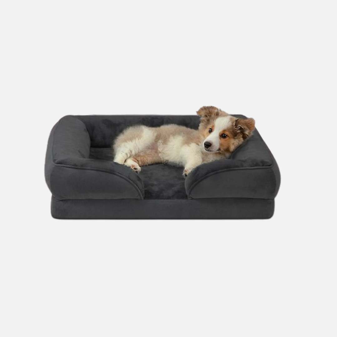 SUENTA Hundebett Memory-Schaum Komfortabler Rückzugsort Für Hunde