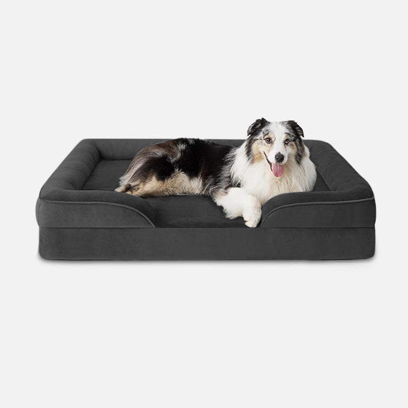 SUENTA Hundebett Memory-Schaum Komfortabler Rückzugsort Für Hunde