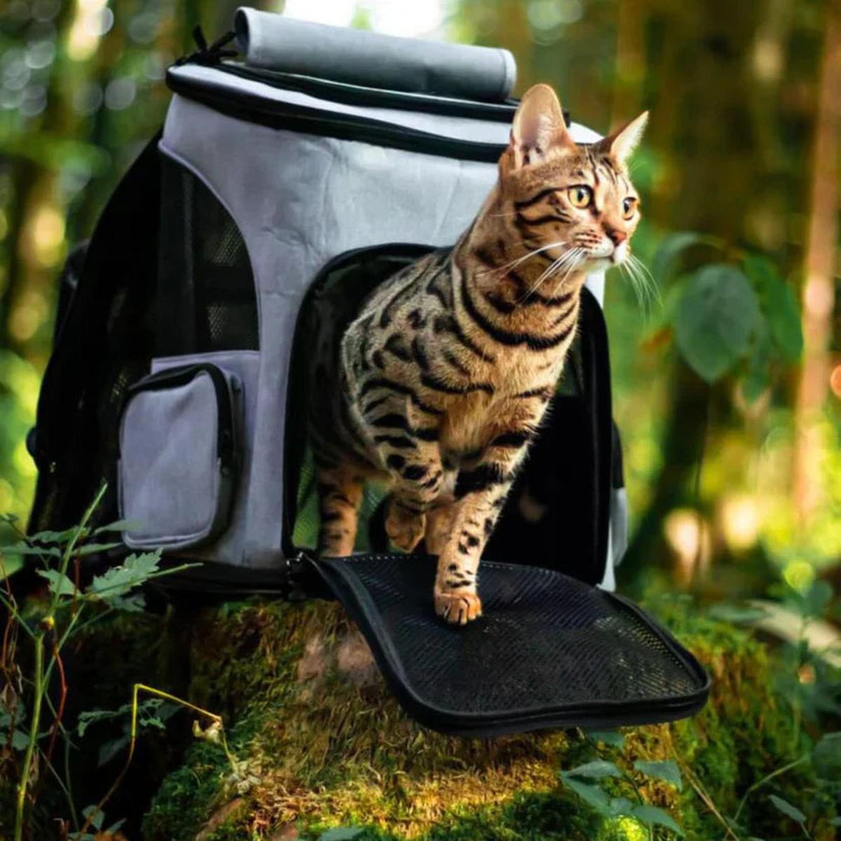 SUENTA Katzentrage Rucksack Belüftung Stauraum Komfort Für Katzen