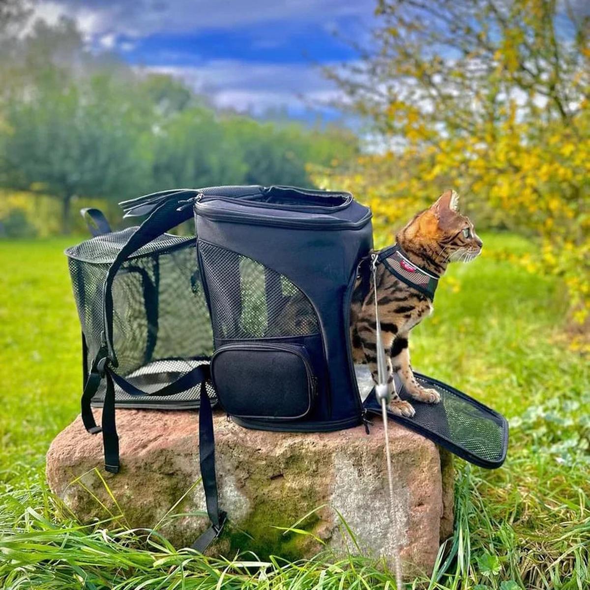 SUENTA Katzentrage Rucksack Belüftung Stauraum Komfort Für Katzen