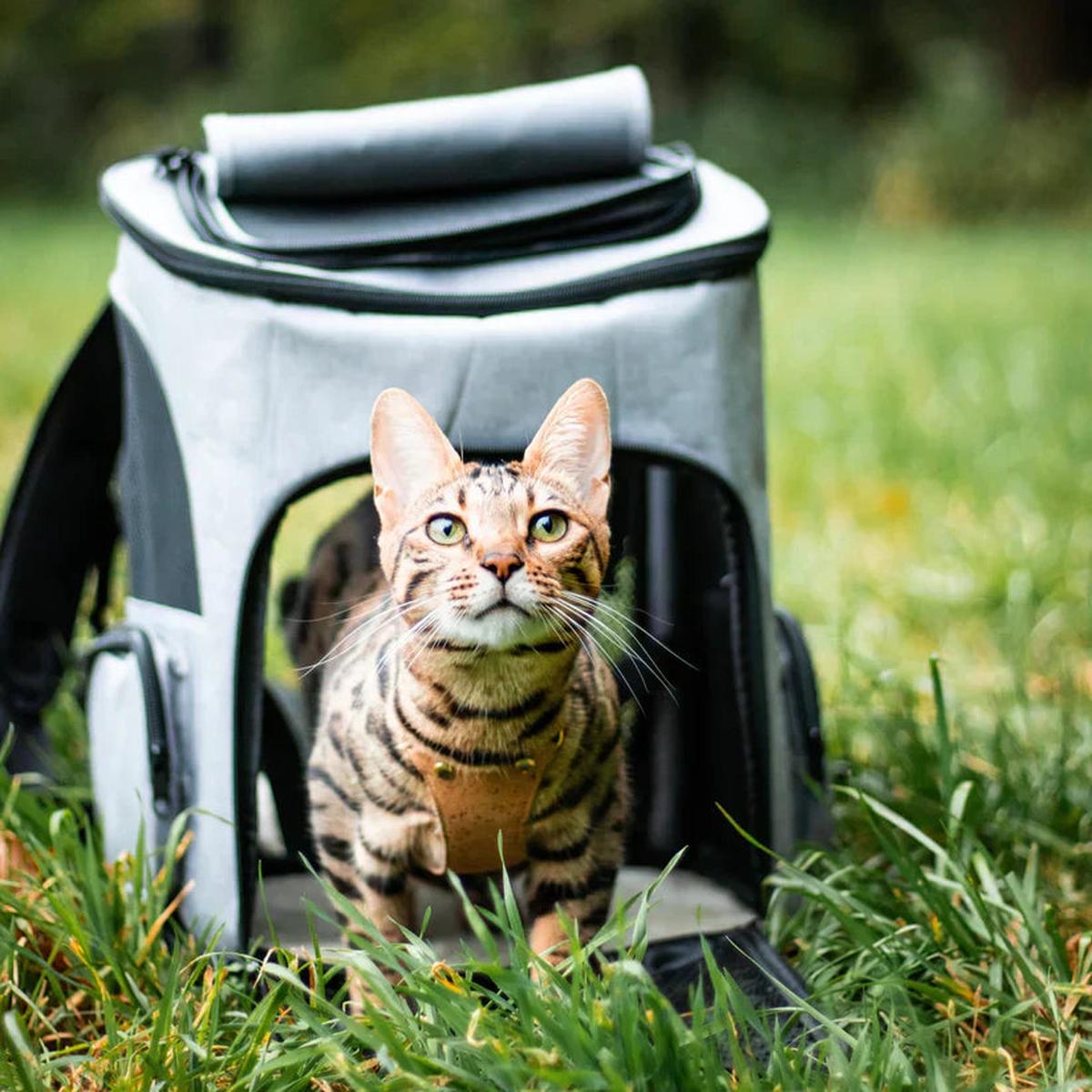 SUENTA Katzentrage Rucksack Belüftung Stauraum Komfort Für Katzen