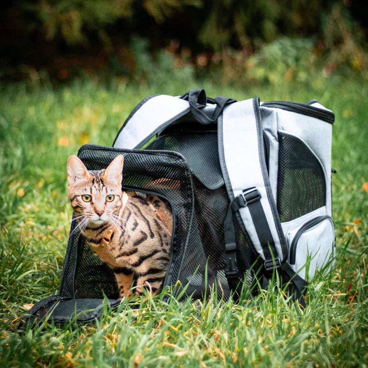 SUENTA Katzentrage Rucksack Belüftung Stauraum Komfort Für Katzen