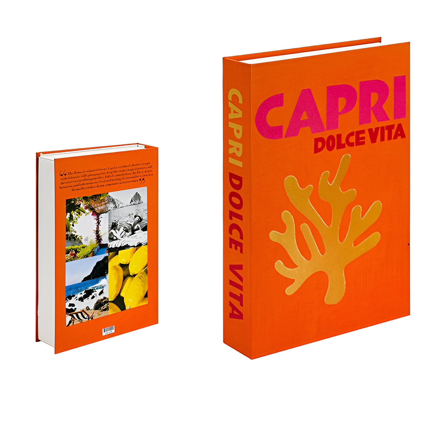 SUENTA Deko Buch Mit Aufbewahrungsfunktion Als Stilvoller Wohnakzent Capri Dolce Vita
