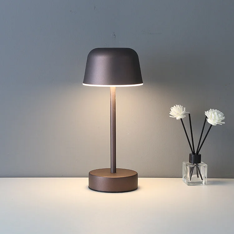 SUENTA Moderne Leuchte Mit Metallgehäuse Und Farbvielfalt Modern Kaffee